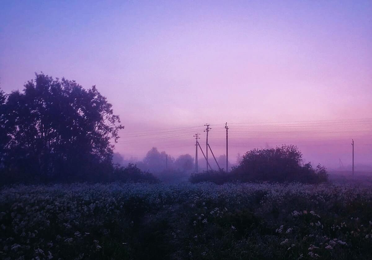 世界杯比赛直播地址-申花两大王牌已伤愈复出 康熙大帝演绎东京攻略II